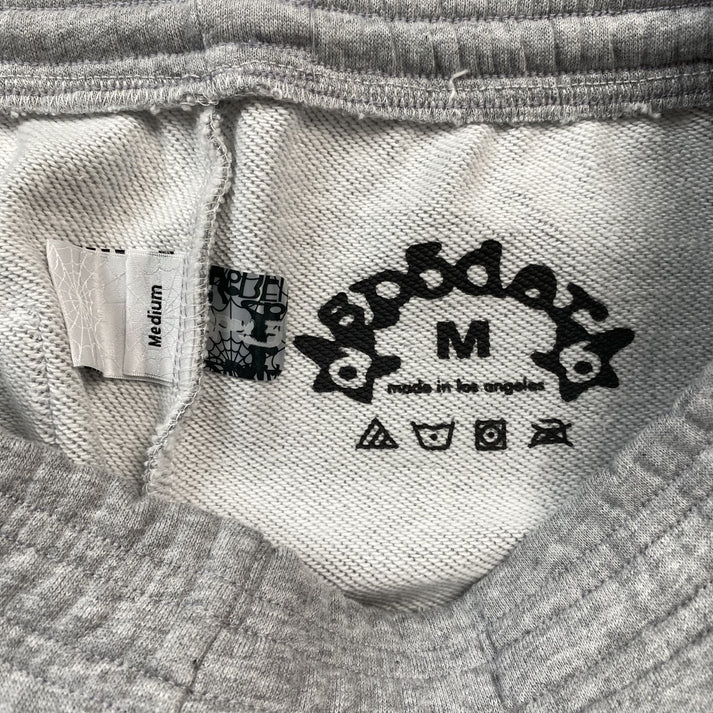 SP5DER WEB GREY PANTS
